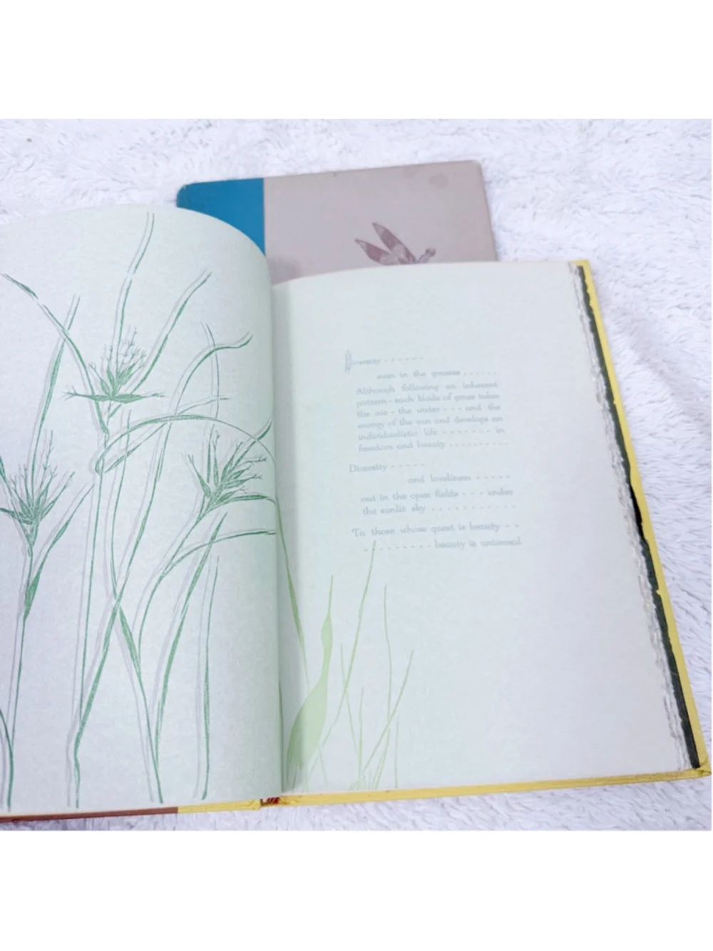 Vintage Gwen Frostic Book Lot Wing-Borne 1967 & A Place On Earth 1962 Illustrate